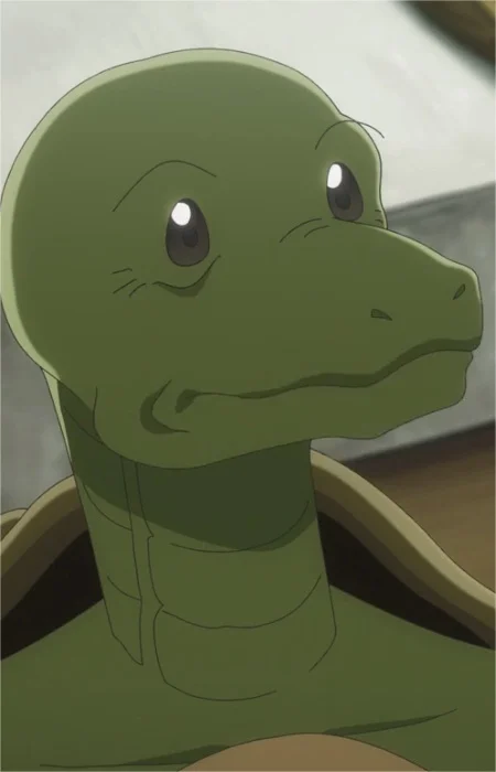 Turtle Merchant