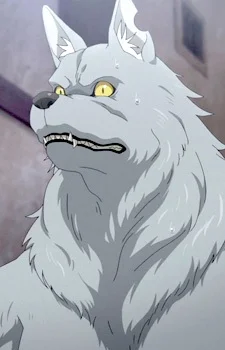 von Kraftman, Wolfgang