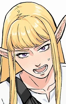 Yokohama Elf