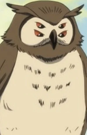 Yotsume
