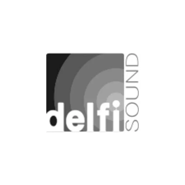 Delfi Sound