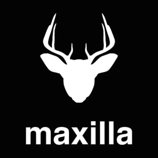 Maxilla