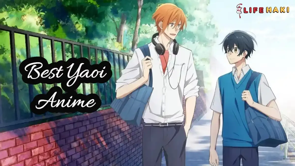 6 Best Yaoi Anime: Stories of Redefining Love