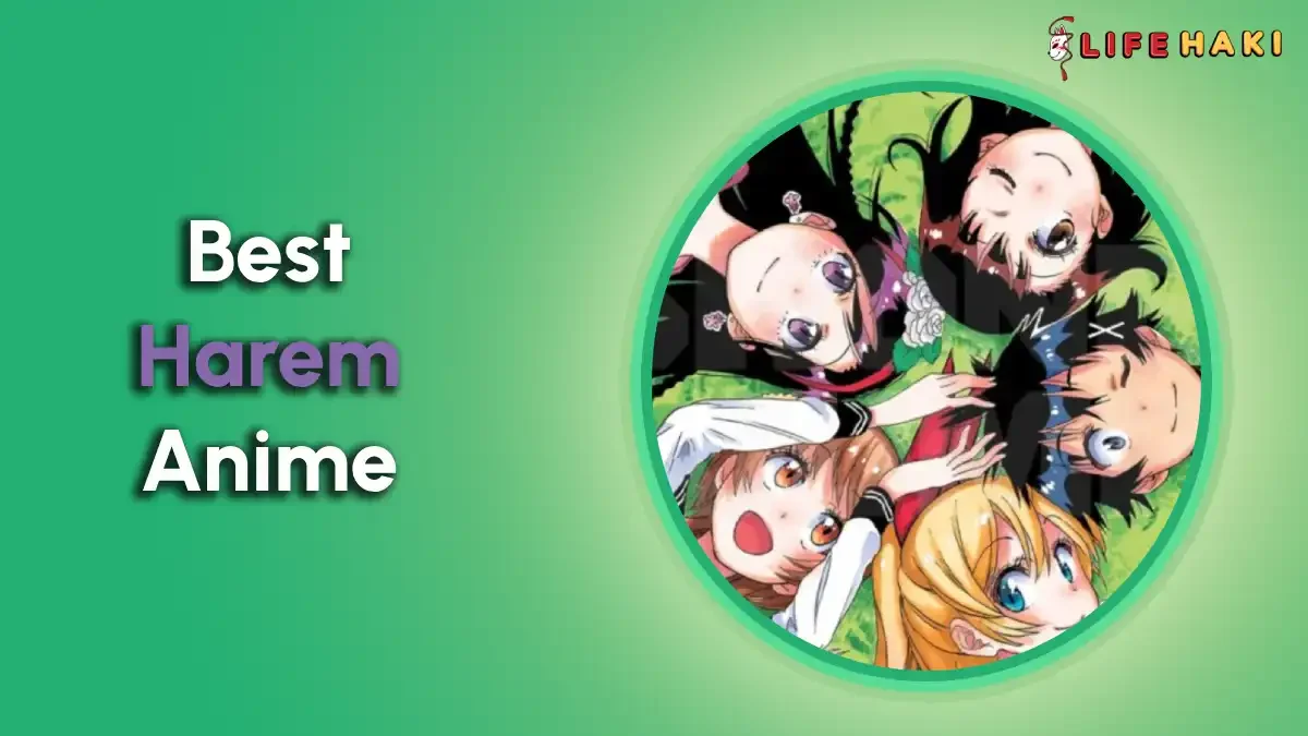 7 Best Harem Anime Narratives That Stand Out!