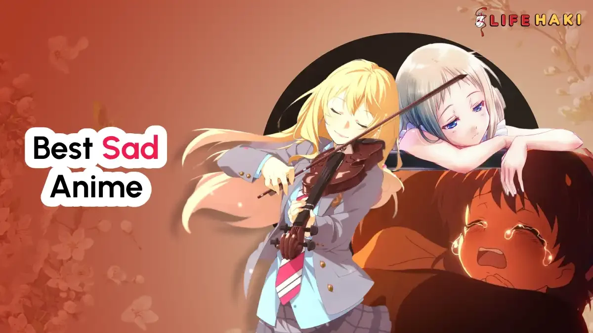Watch the 5 Best Sad anime: Don’t forget to bring a handkerchief with you!